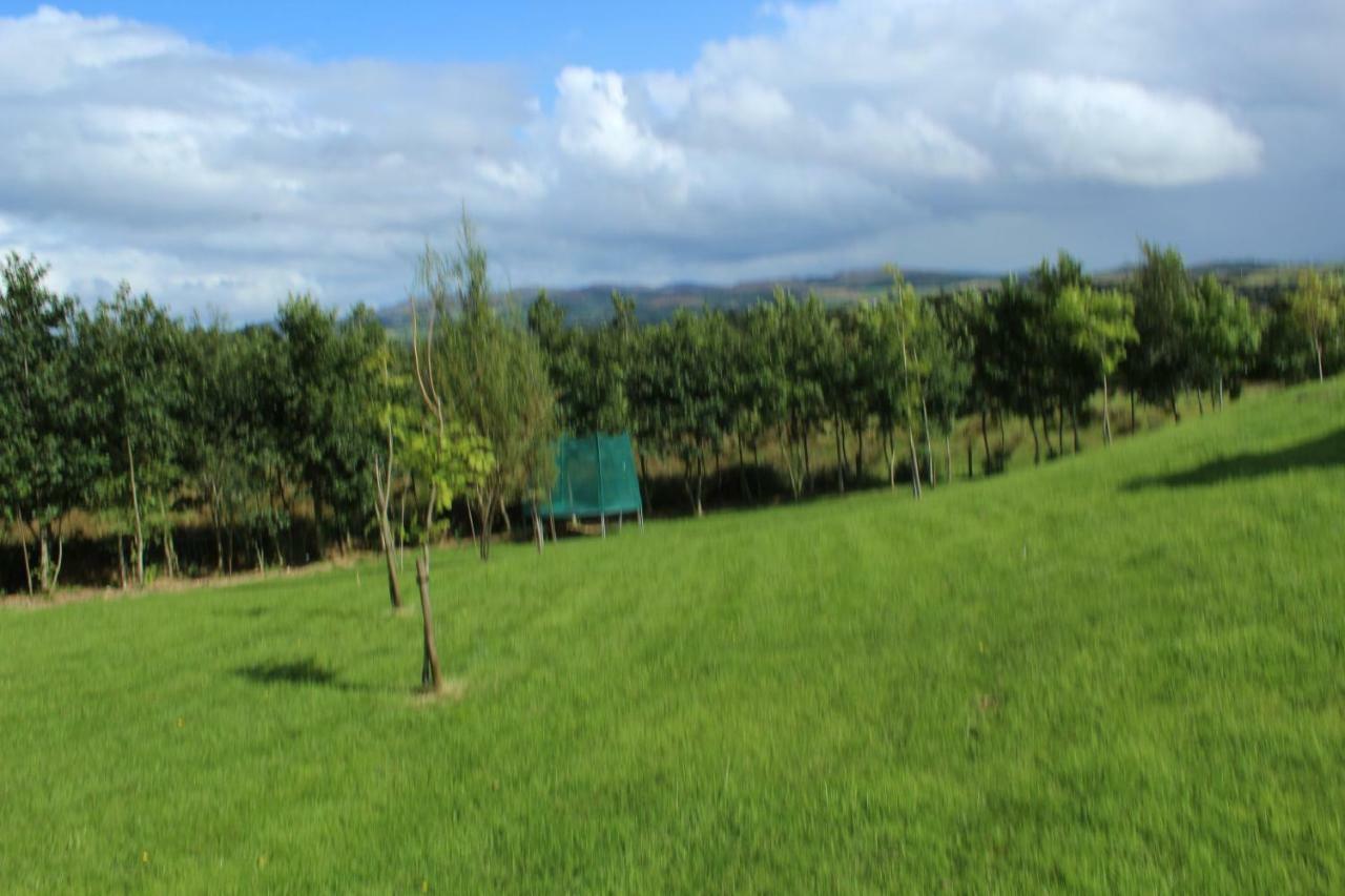 Bunlin Heights Self Catering Studio Milford Eksteriør bilde